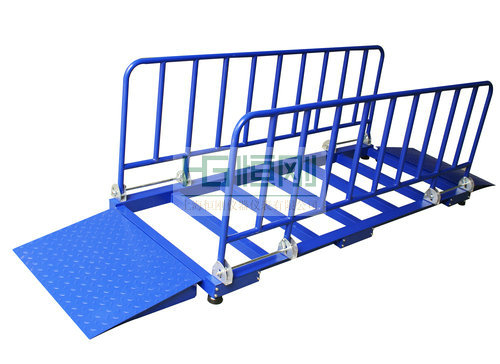 活畜專(zhuān)用地磅秤
